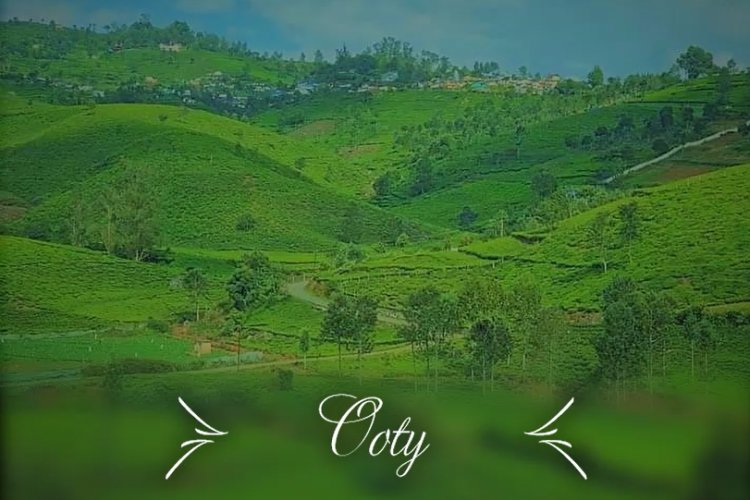 Ooty